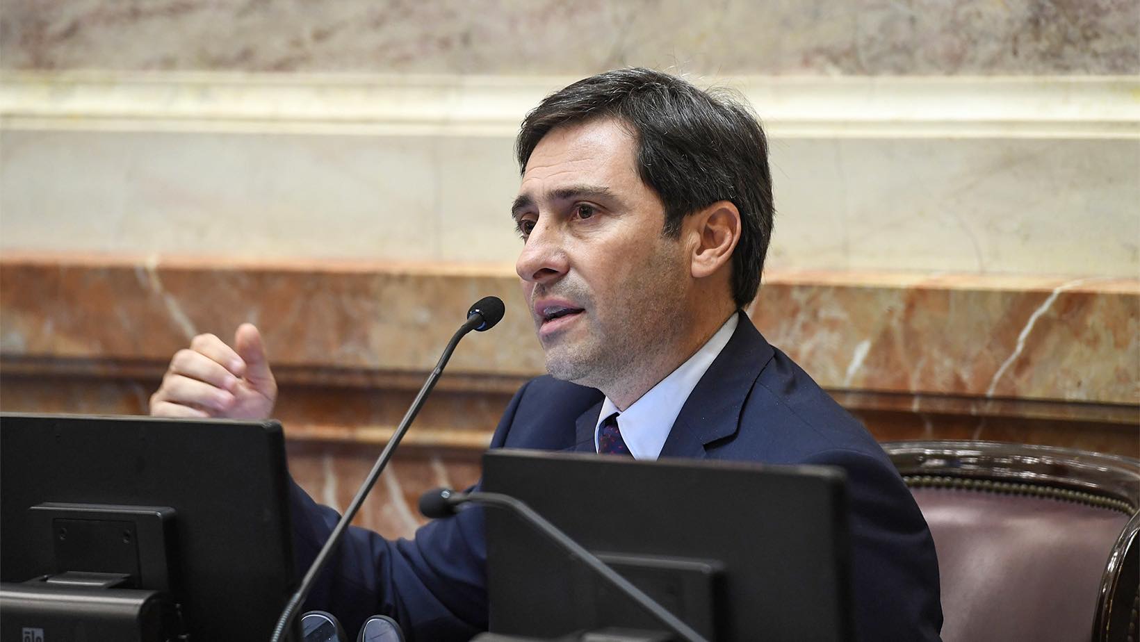 Enrique Martín Goerling Lara